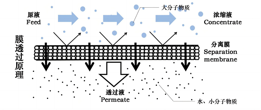 后置膜過(guò)濾系統(tǒng)